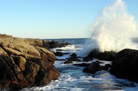 Ship Harbor at Acadia National Park in Maine