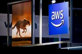 AWS cheetah