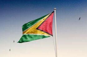 Guyana flag