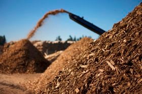 Biomass