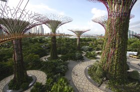 Solar-powered 'supertrees' at Gardens by the Bay, Singapore