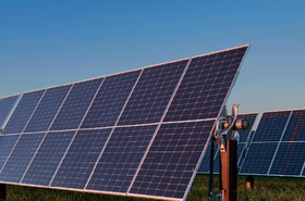 Cypress Knee Solar - EDPR NA Banner_.jpg