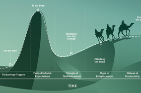 DCIM camel