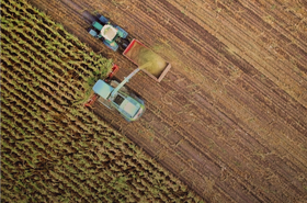 Image+-+Aerial+view+of+intercity+road+with+fast+driving+cars+between+farmland+fields+at+sunset.+Top+view-1