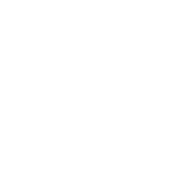 Registration Lock Icon